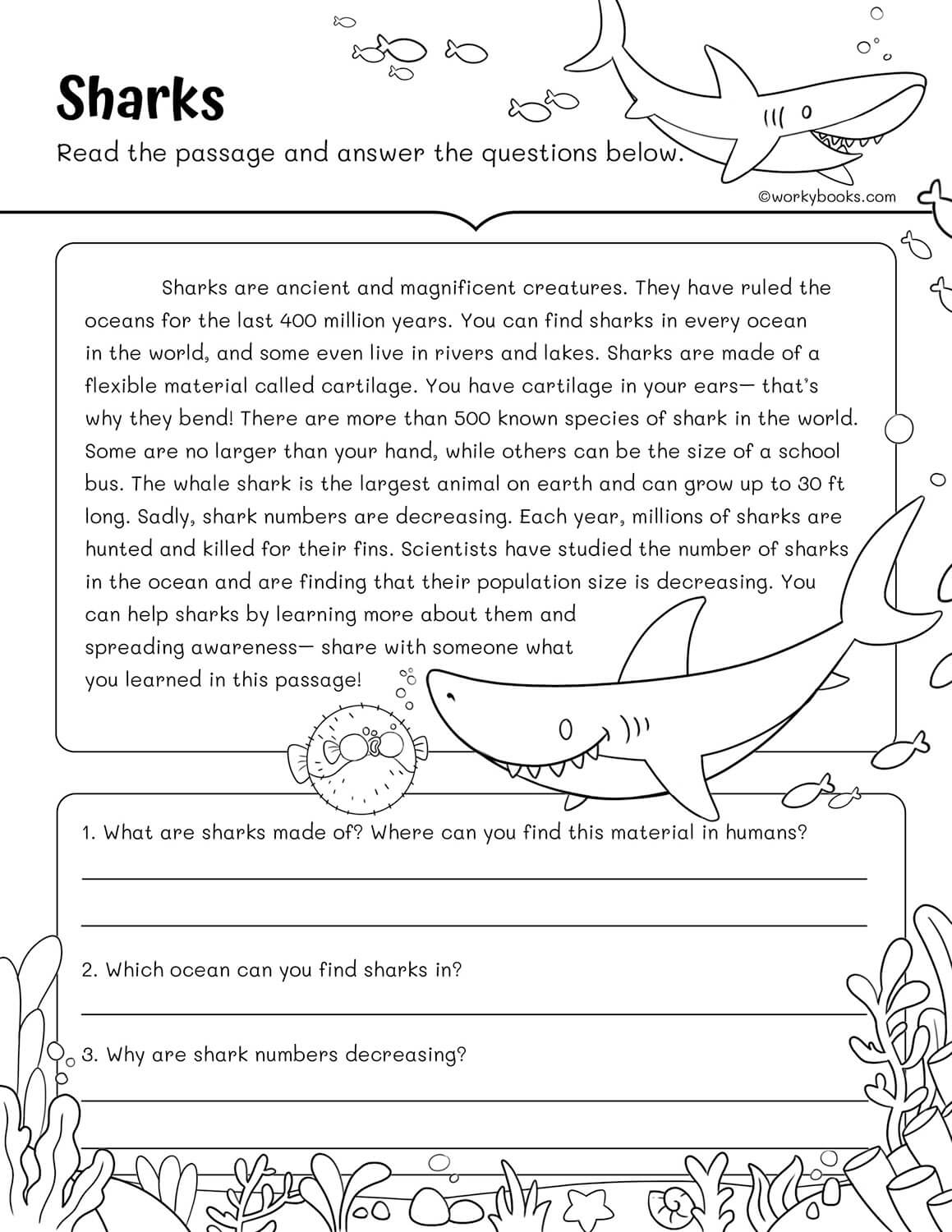 reading comprehension worksheets 3rd reading comprehension worksheets 3rd