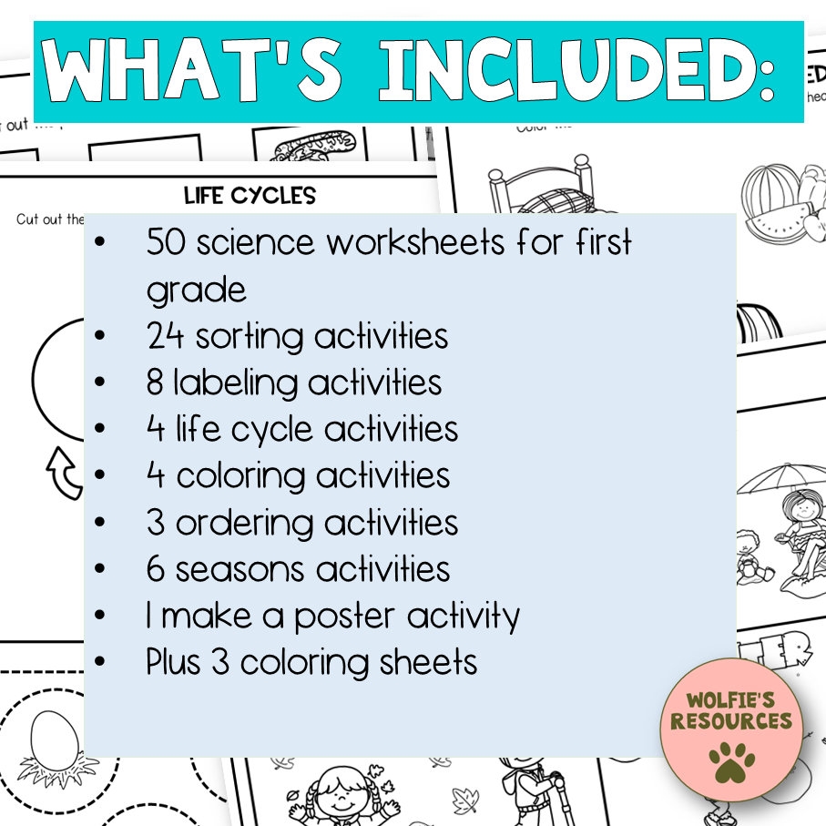 50 Science Printable Worksheets For First Grade And Homeschool Etsy 50 Science Printable Worksheets For First Grade And Homeschool Etsy