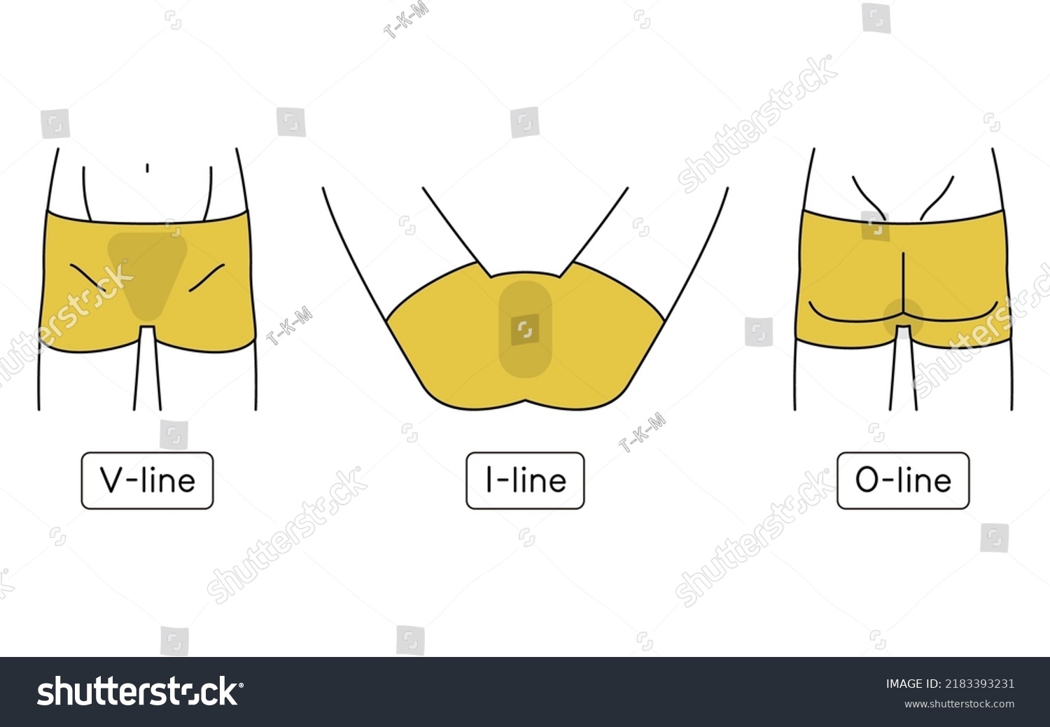 male pubic hair pattern male pubic hair pattern