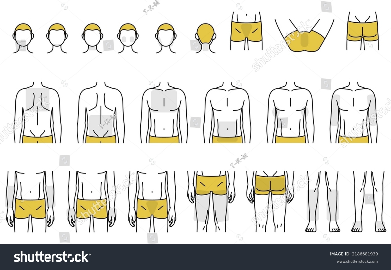 59 Male Pubic Hair Stock Vectors And Vector Art Shutterstock 59 Male Pubic Hair Stock Vectors And Vector Art Shutterstock