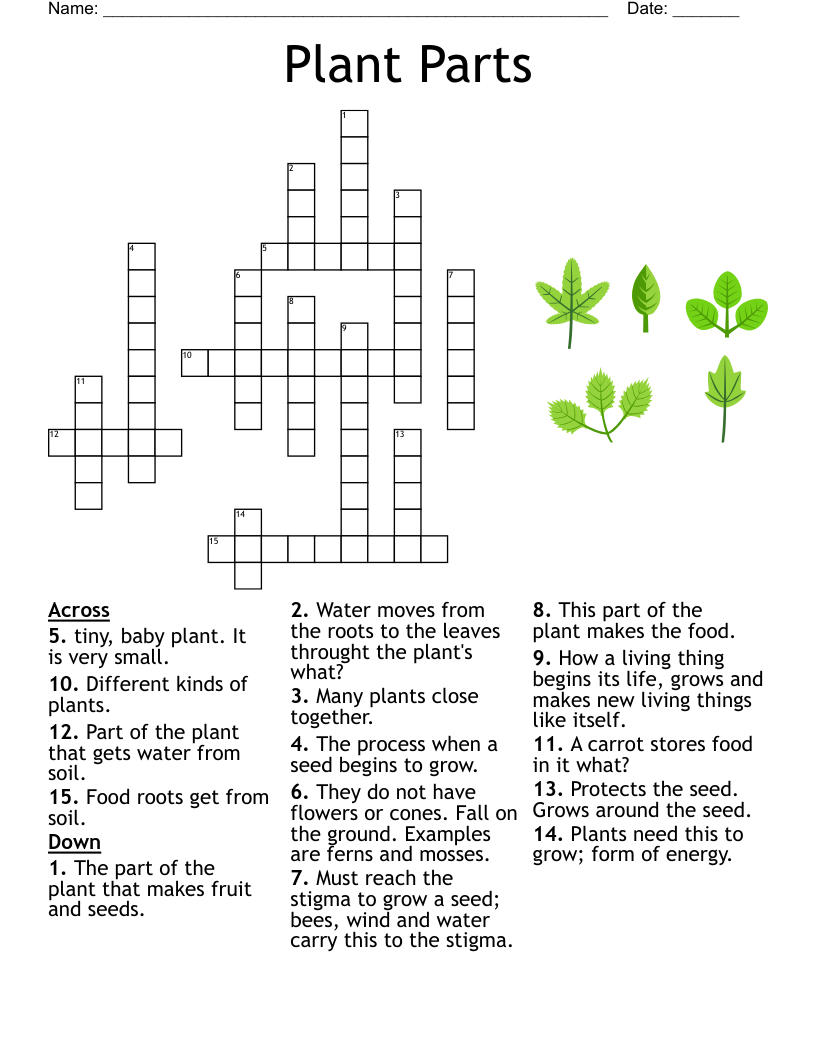 5th Grade Science Vocabulary Crossword WordMint 5th Grade Science Vocabulary Crossword WordMint