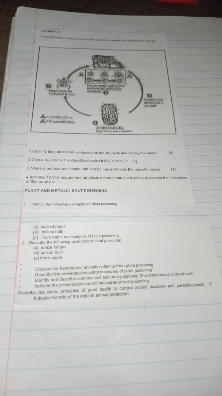 ACTIVITY 28 Parasite Life Cycle And Management The Illustration Below Sh 