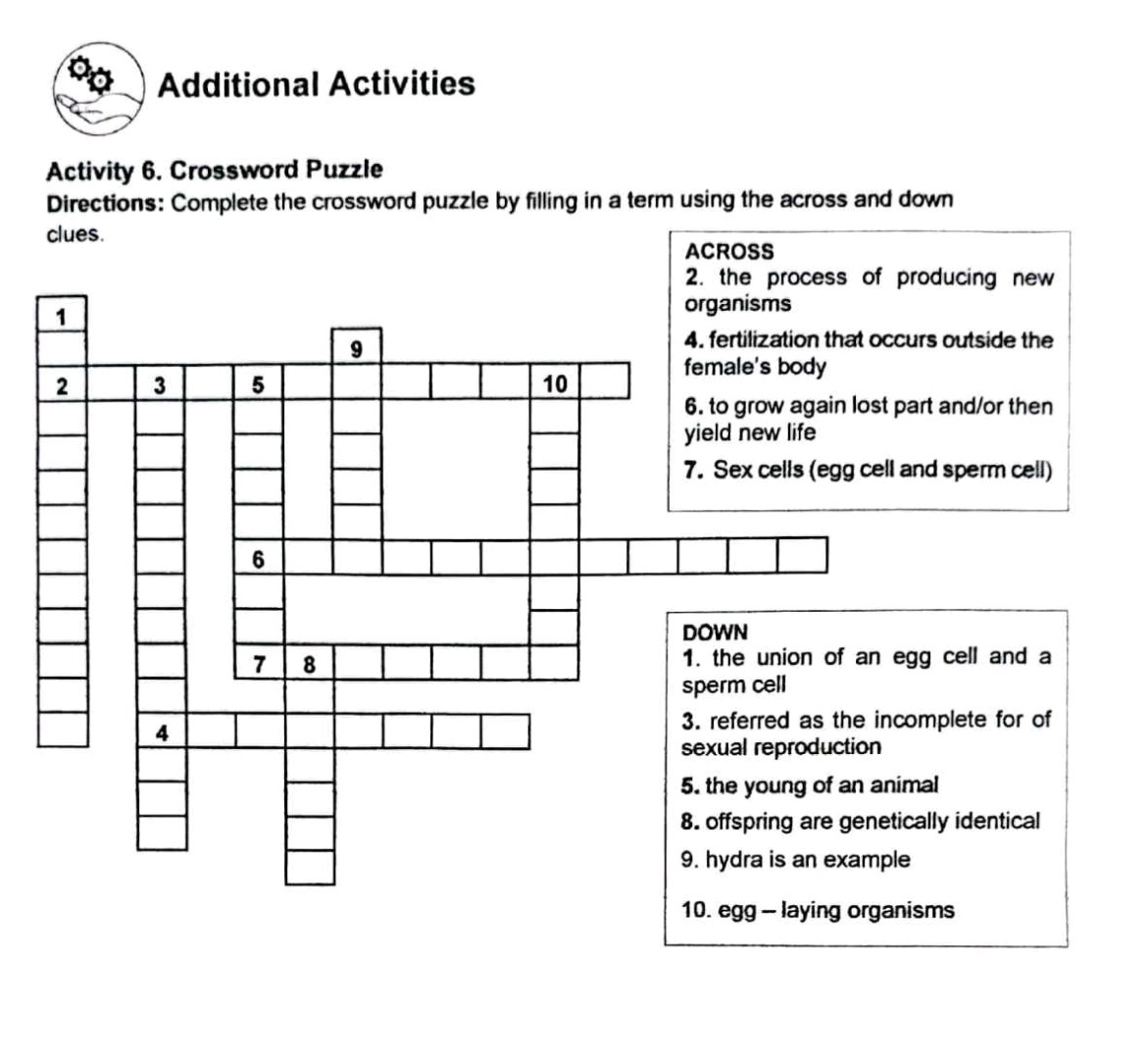 Additional Activities Activity 6 Crossword StudyX Additional Activities Activity 6 Crossword StudyX