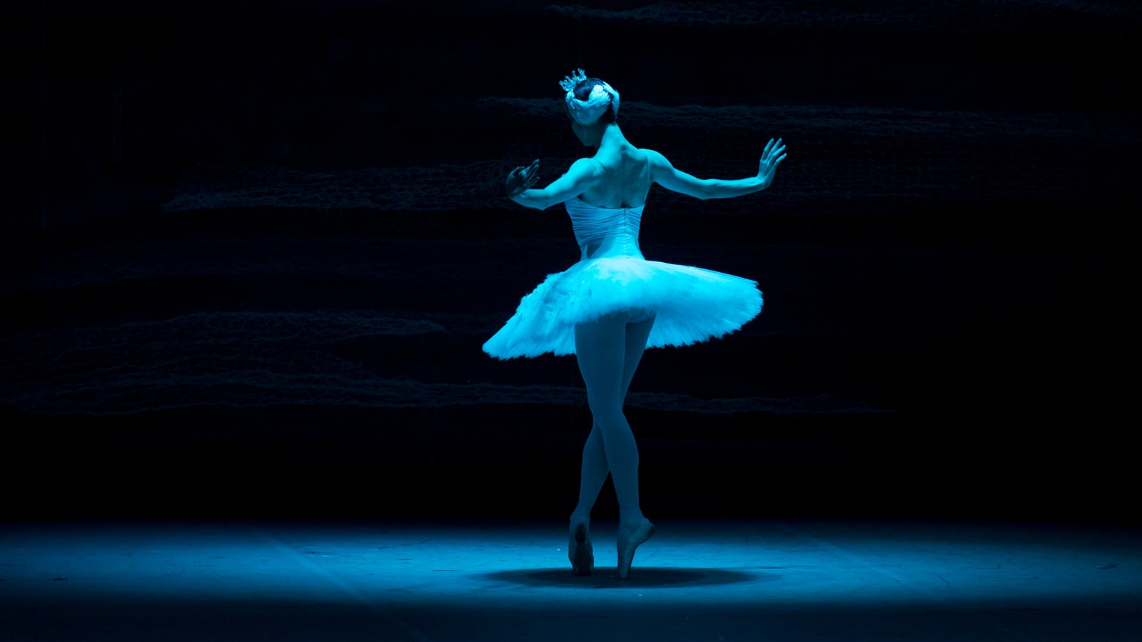 All About Odette Tchaikovsky s Swan Queen The New York Times