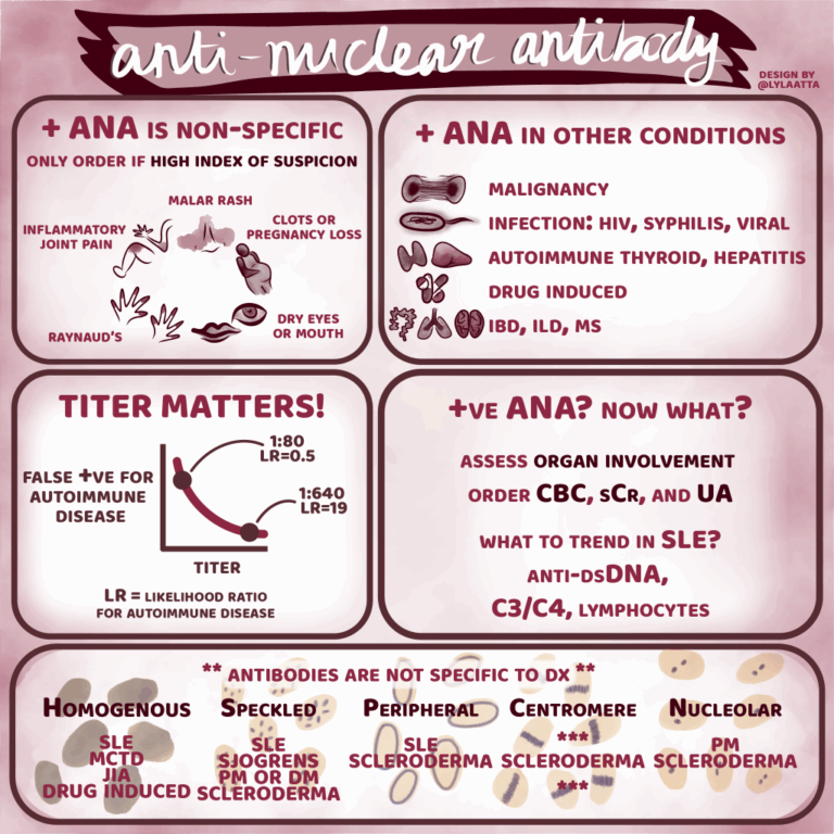 ANA Antinuclear Antibody Test 5 Pearls Segment Core IM Podcast