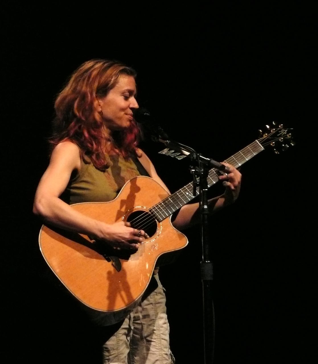 Ani DiFranco Wikipedia