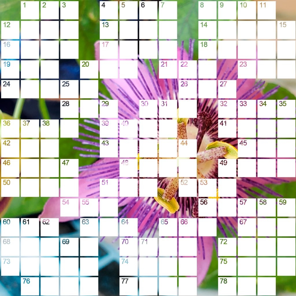 August 2025 Crossword The Castle Pines Connection August 2025 Crossword The Castle Pines Connection