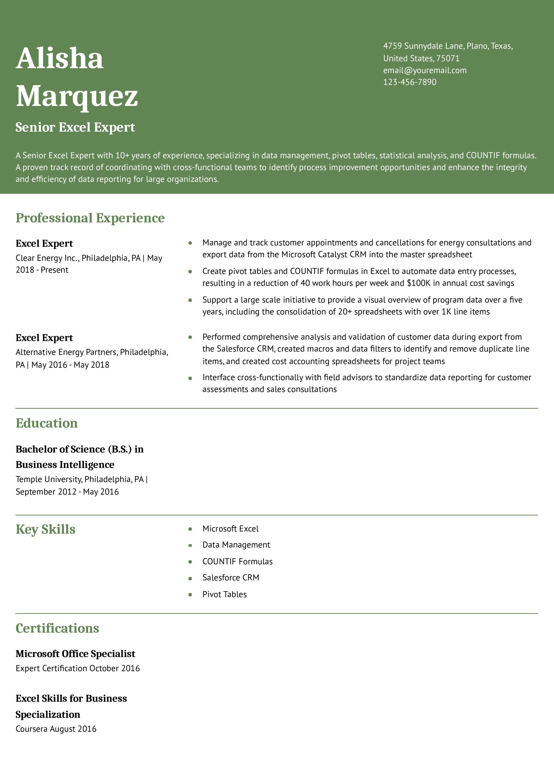 Best Excel Expert Resume Examples And Templates For 2025 ResumeBuilder Best Excel Expert Resume Examples And Templates For 2025 ResumeBuilder