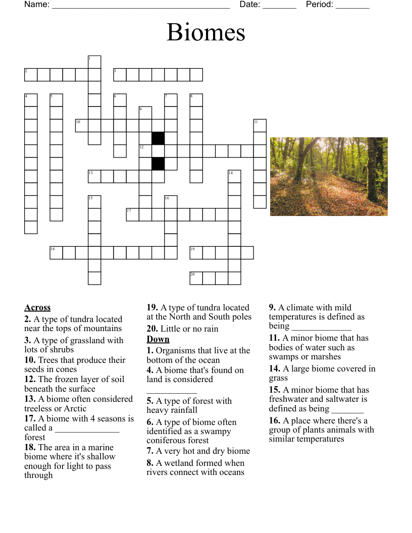 Biomes Crossword WordMint Biomes Crossword WordMint