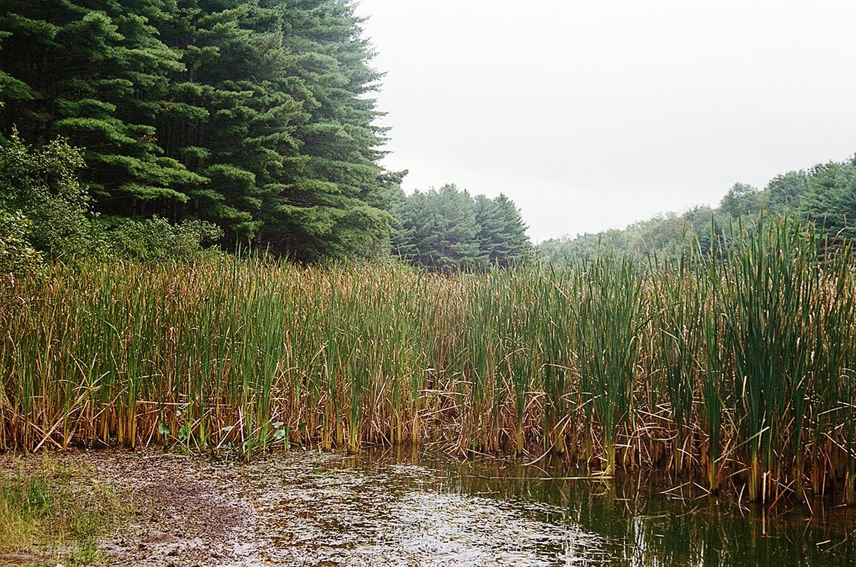 BLOG Hope Dickens Photography BLOG Hope Dickens Photography