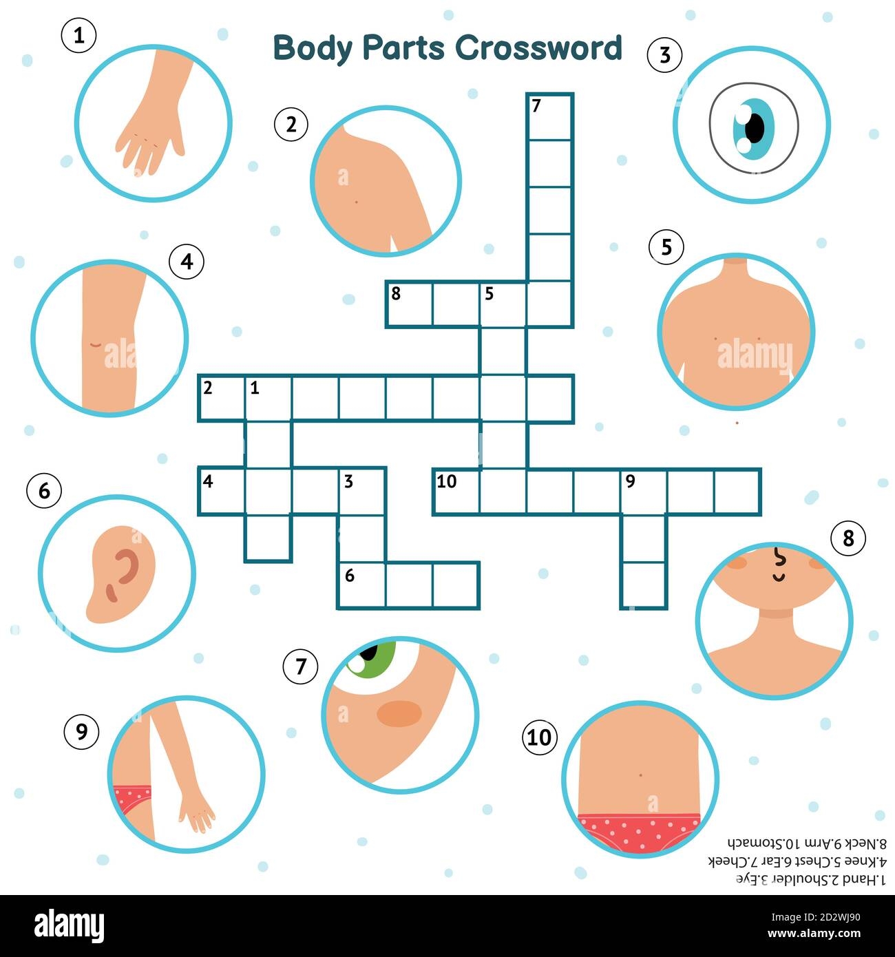 Body Parts Crossword With Hand Eye Shoulder Knee Chest Ear Cheek Neck Arm Stock Vector Image Art Alamy Body Parts Crossword With Hand Eye Shoulder Knee Chest Ear Cheek Neck Arm Stock Vector Image Art Alamy