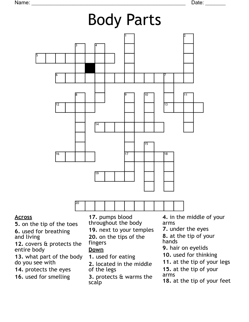 Body Parts Crossword WordMint Body Parts Crossword WordMint