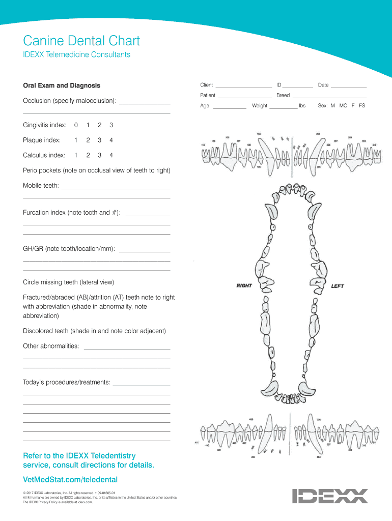 Canine Dental Chart Pdf Fill Out Sign Online DocHub Canine Dental Chart Pdf Fill Out Sign Online DocHub