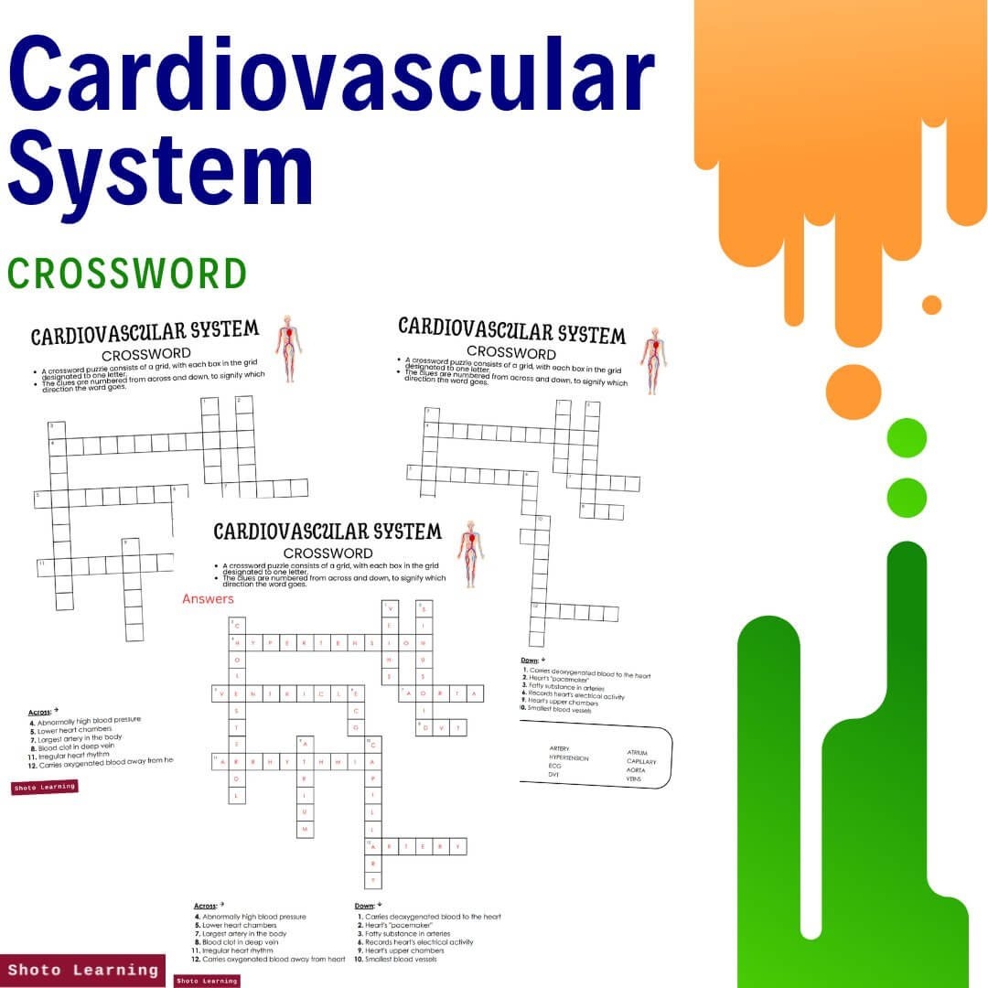 Cardiovascular System Word Scramble Science Activity Cardiovascular System Word Scramble Science Activity