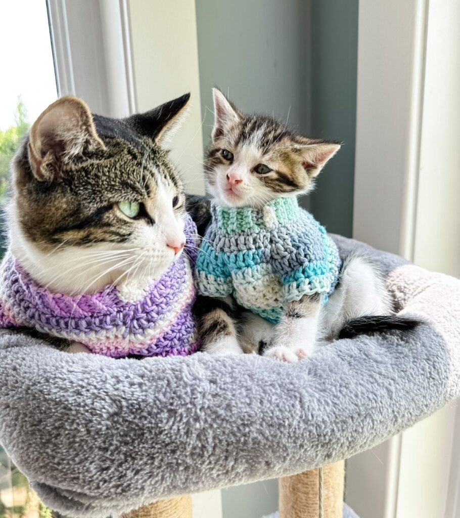 Cat Sweater Crochet Pattern MJ s Off The Hook Designs Cat Sweater Crochet Pattern MJ s Off The Hook Designs