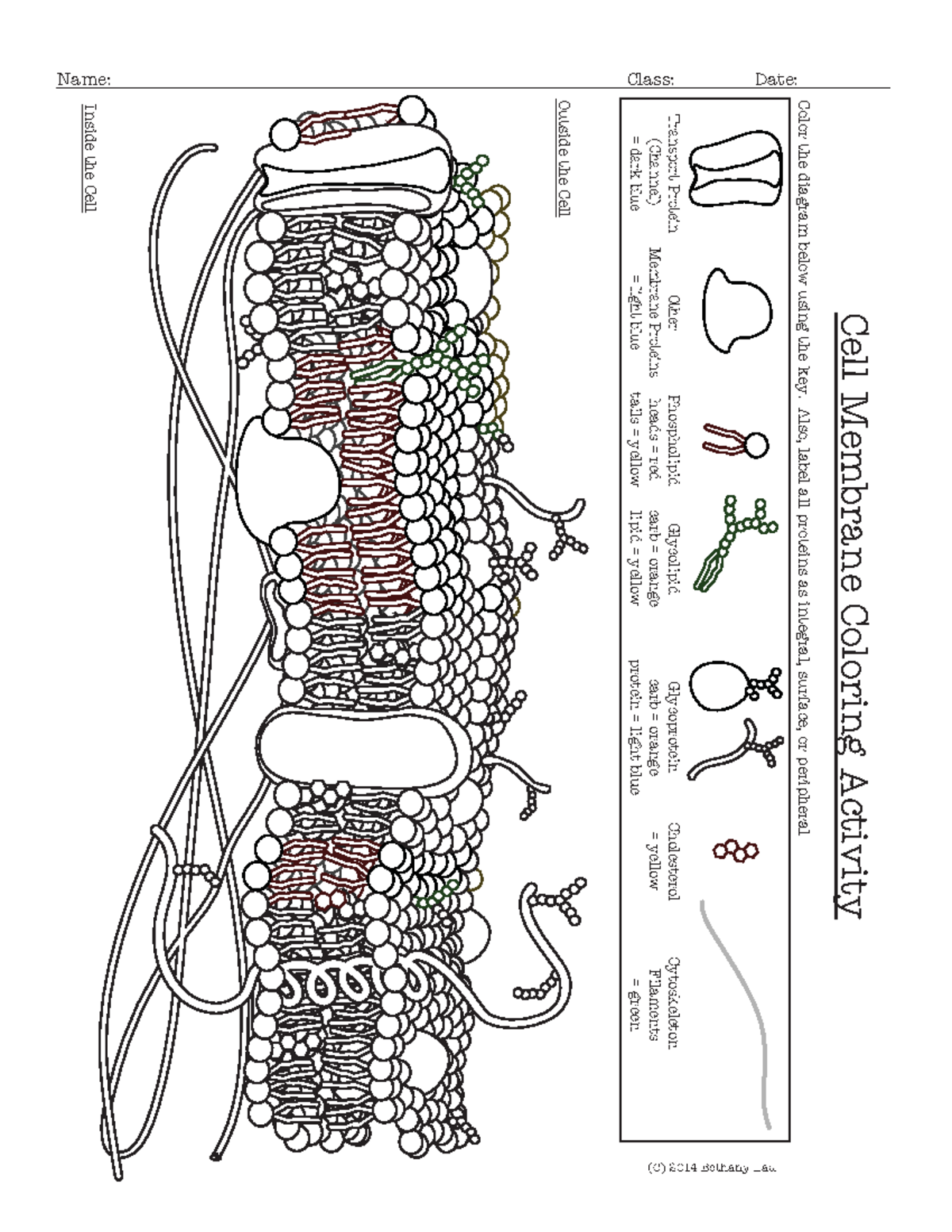 Cell Membrane Coloring Activity Help Students Identify Key Structures 1 Name Class Date Cell Studocu Cell Membrane Coloring Activity Help Students Identify Key Structures 1 Name Class Date Cell Studocu