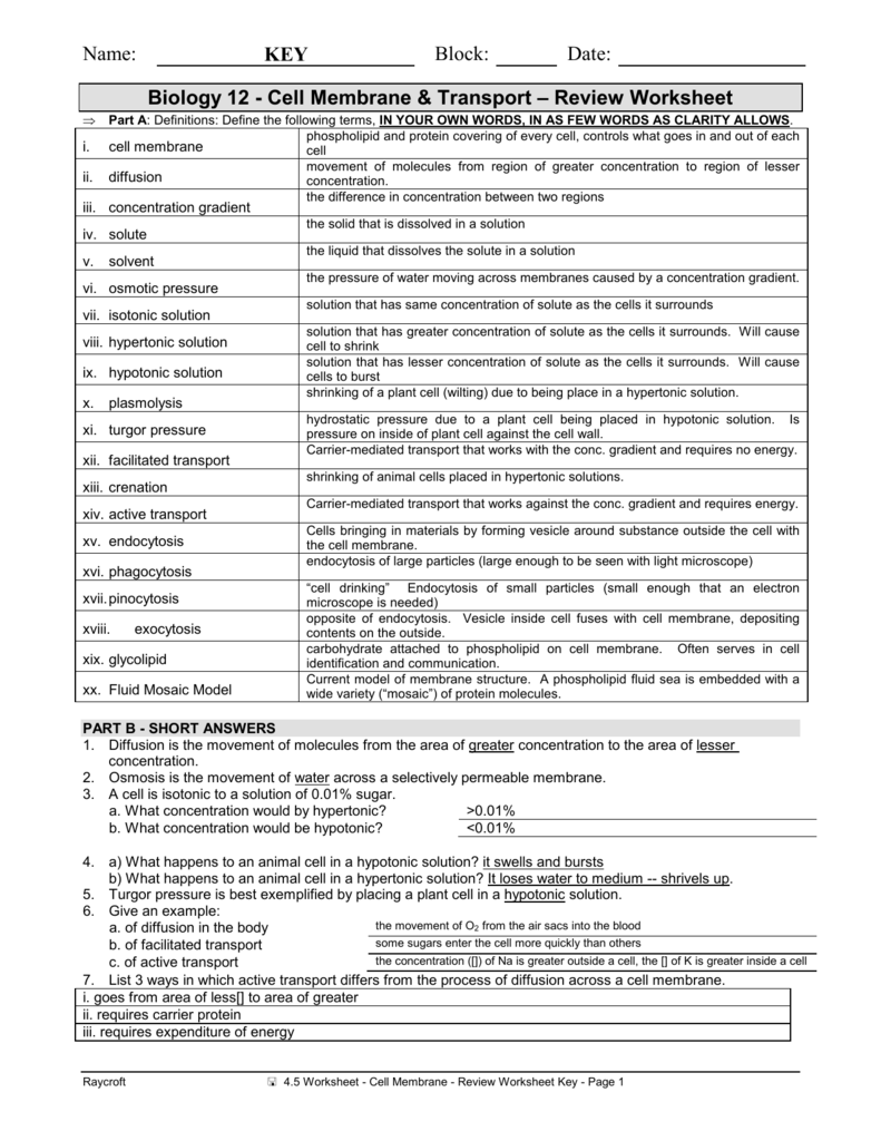 Cell Membrane Transport Worksheet Biology 12 Review