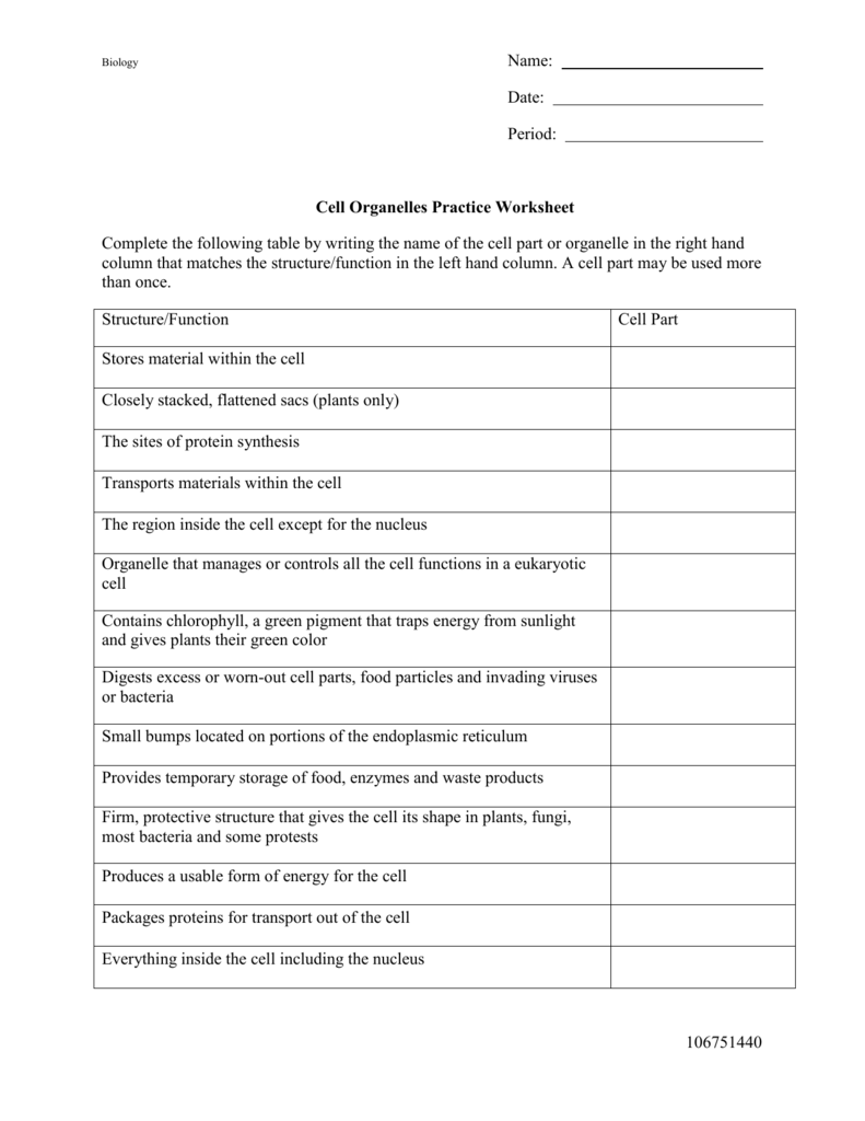 Cell Organelles Practice Worksheet Biology Cell Organelles Practice Worksheet Biology