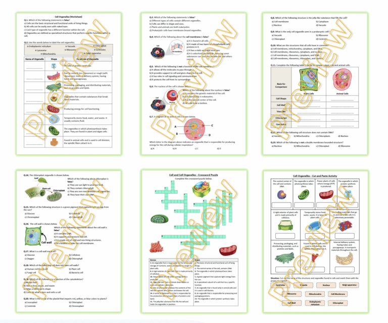 Cell Organelles Worksheet Puzzle Printable And Distance Learning Teaching Resources