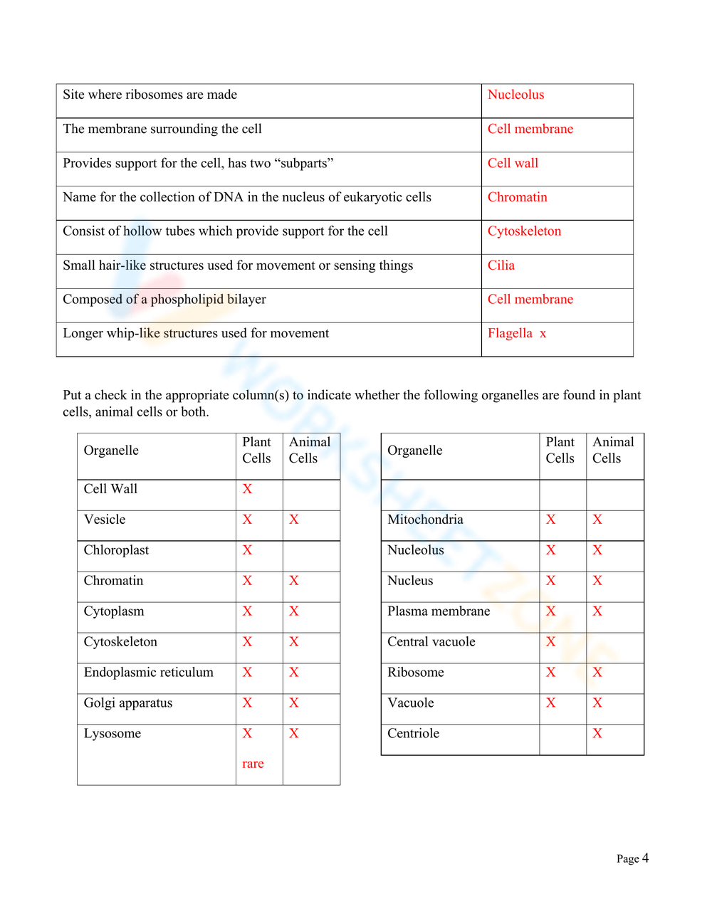 Cell Organelles Worksheets Printable Cell Organelles Worksheets Printable