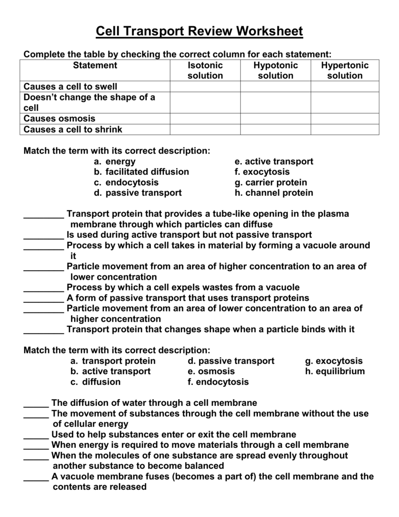 Cell Transport Review Worksheet Biology Practice