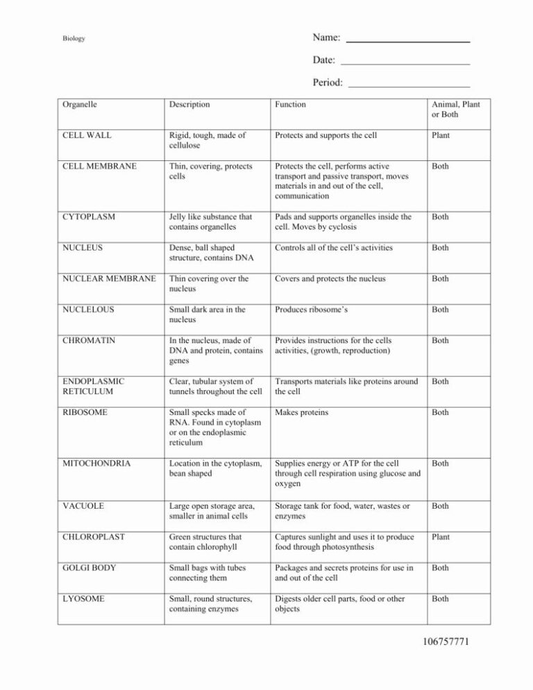 Cells And Organelles Worksheet Best Of Cell Organelles Worksheet