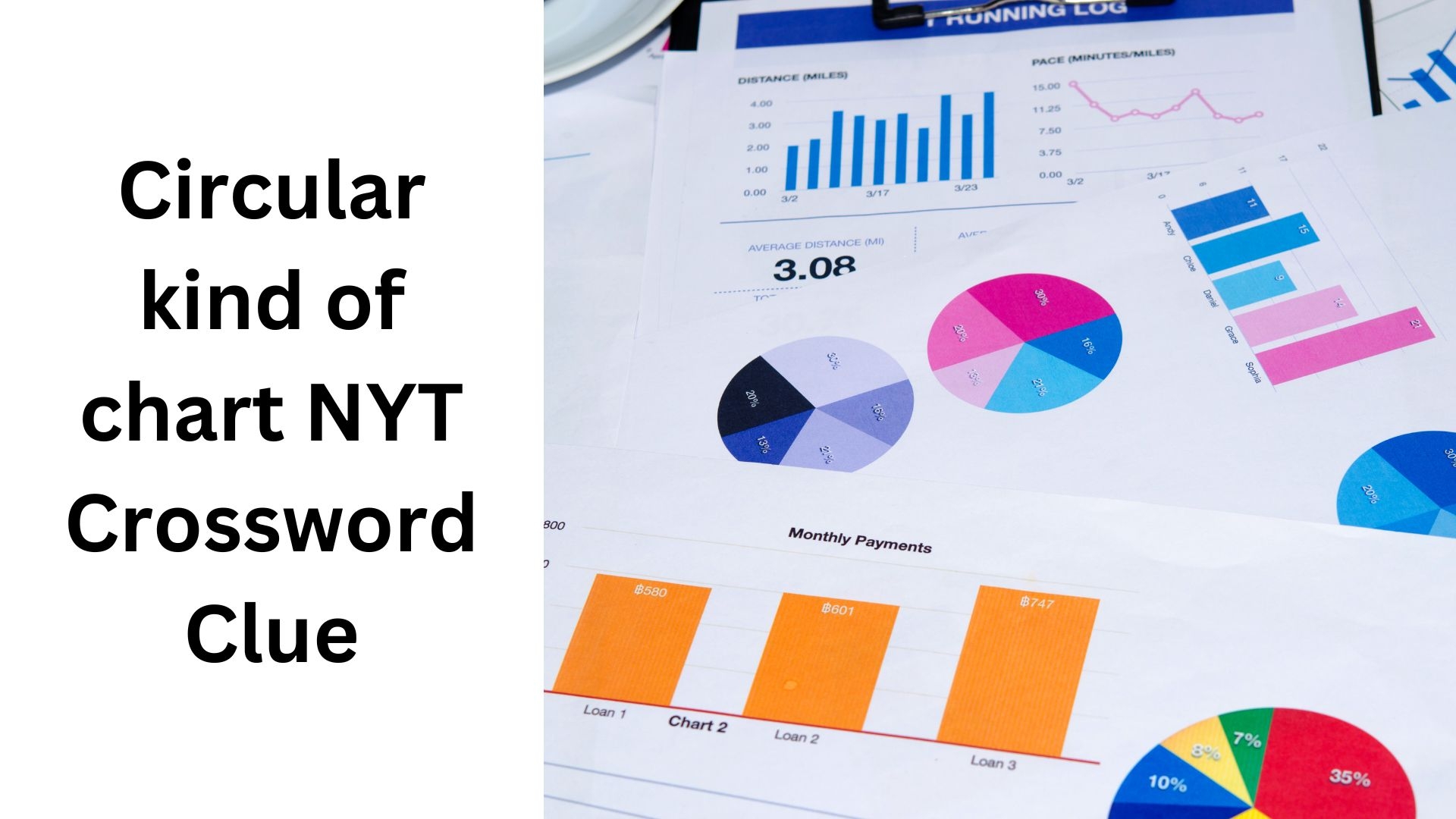 Circular Kind Of Chart NYT Crossword Clue September 7 2024