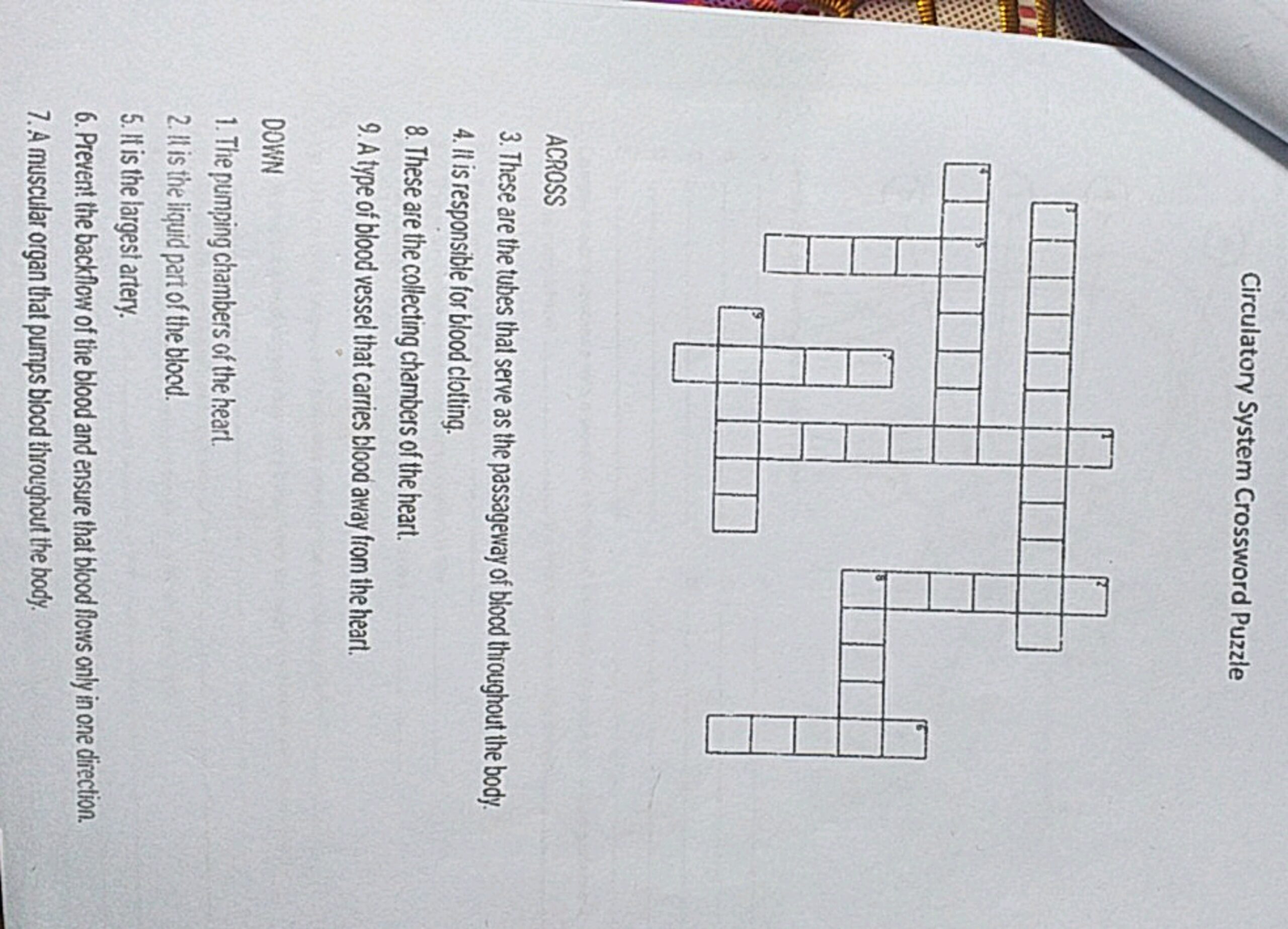 Circulatory System Crossword Puzzle ACROSS These Are The Tubes That Serv Circulatory System Crossword Puzzle ACROSS These Are The Tubes That Serv