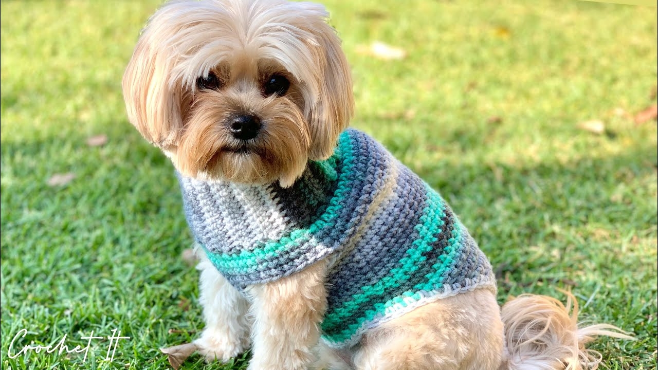 Crochet A Dog Sweater Small 30cm Long Full Tutorial YouTube Crochet A Dog Sweater Small 30cm Long Full Tutorial YouTube
