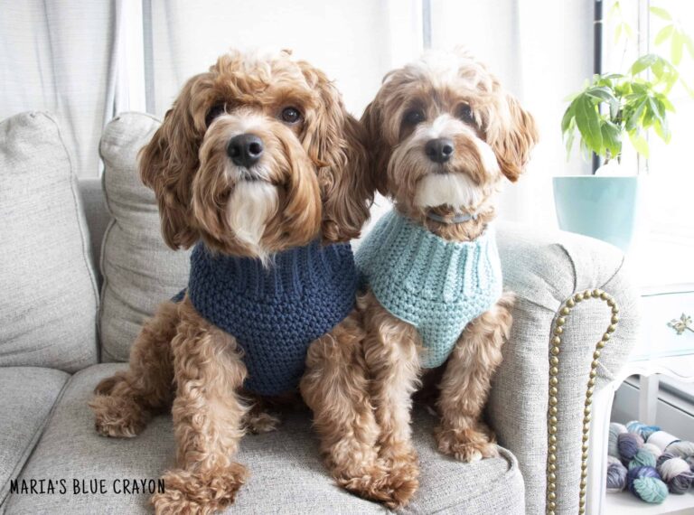 Crochet Dog Sweater Free Pattern Maria s Blue Crayon