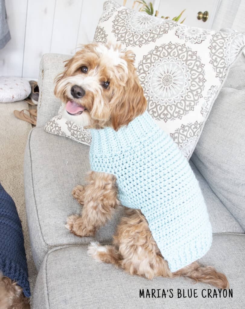 Crochet Dog Sweater Free Pattern Maria s Blue Crayon Crochet Dog Sweater Free Pattern Maria s Blue Crayon