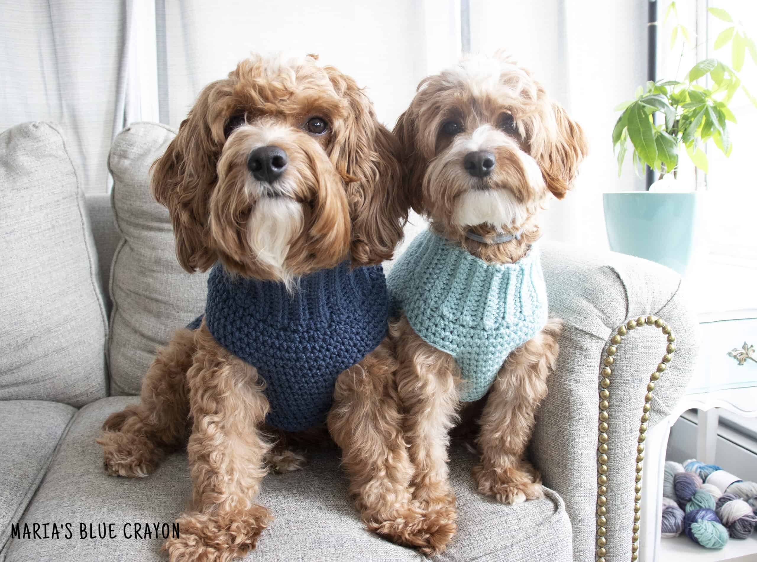 Crochet Dog Sweater Free Pattern Maria s Blue Crayon Crochet Dog Sweater Free Pattern Maria s Blue Crayon