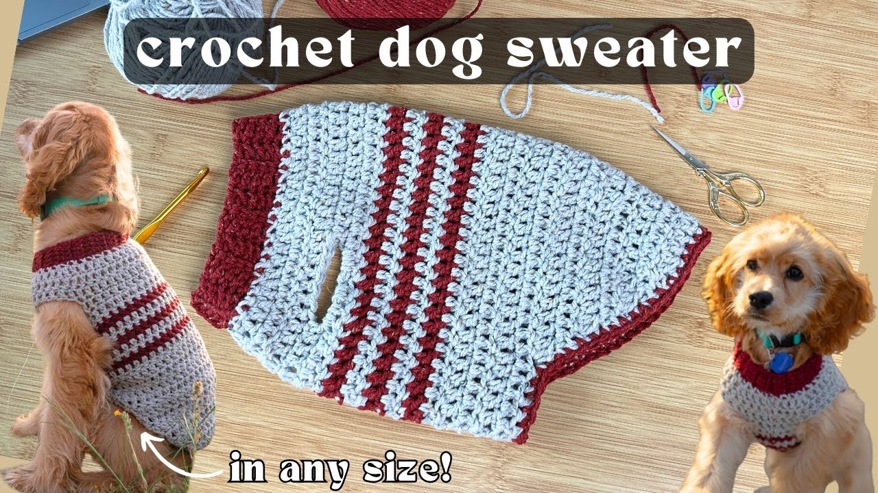 dog sweater crochet pattern dog sweater crochet pattern