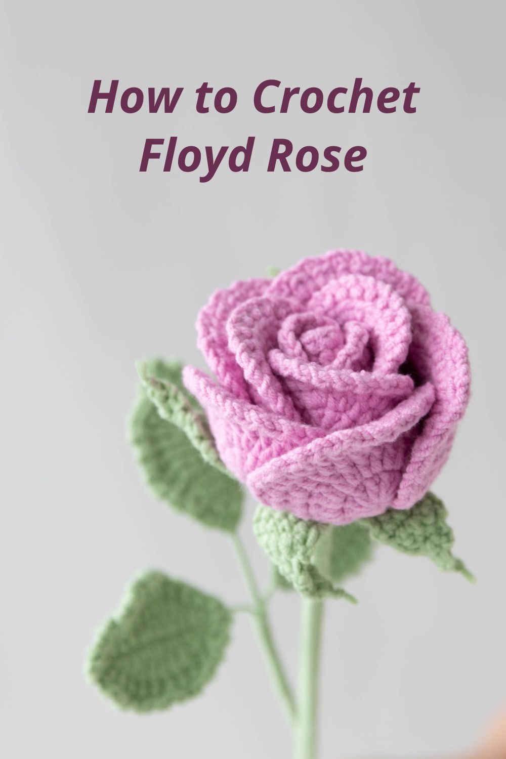 Crochet Floyd Rose Free Pattern Hookok Crochet Floyd Rose Free Pattern Hookok