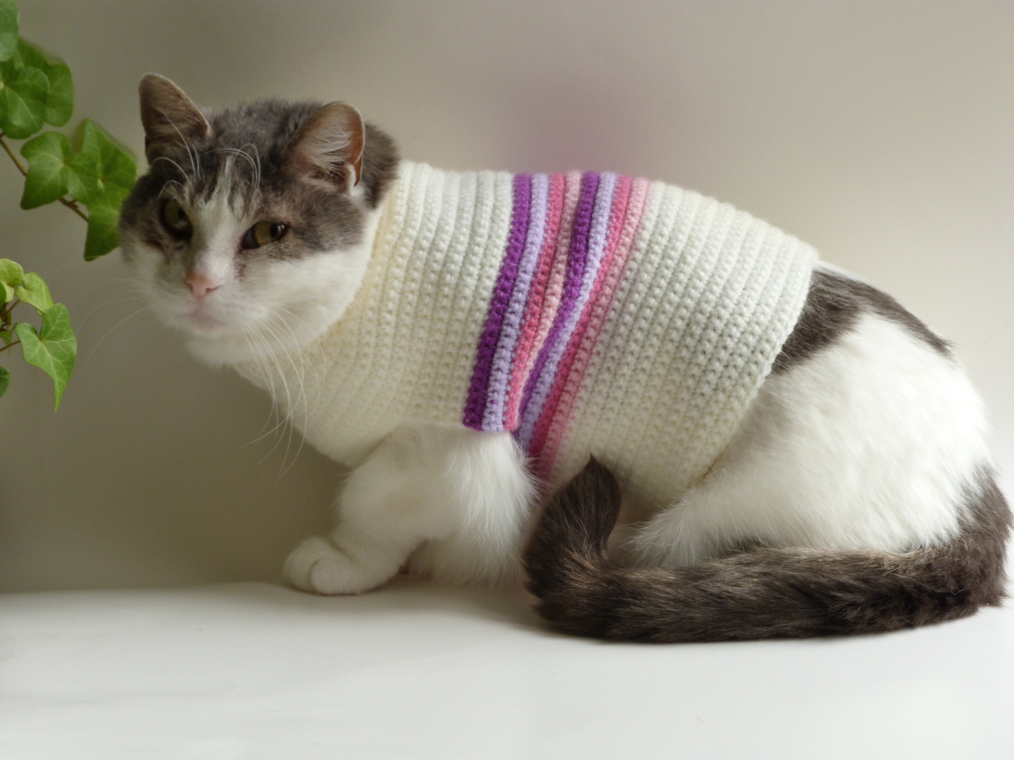 Crochet Spot Blog Archive Free Crochet Pattern Retro Striped Cat Sweater Crochet Patterns Tutorials And News Crochet Spot Blog Archive Free Crochet Pattern Retro Striped Cat Sweater Crochet Patterns Tutorials And News