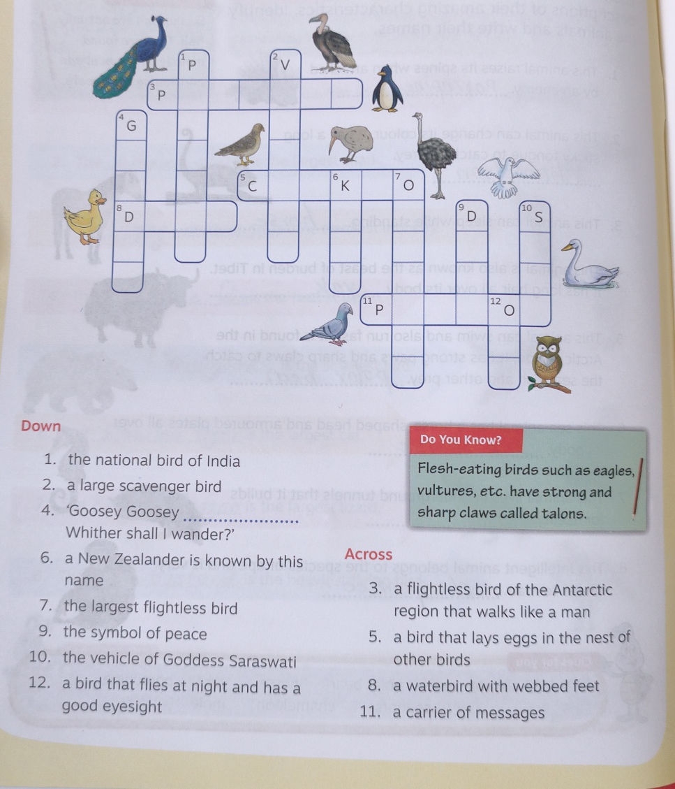 eagles nest crossword puzzle clue eagles nest crossword puzzle clue