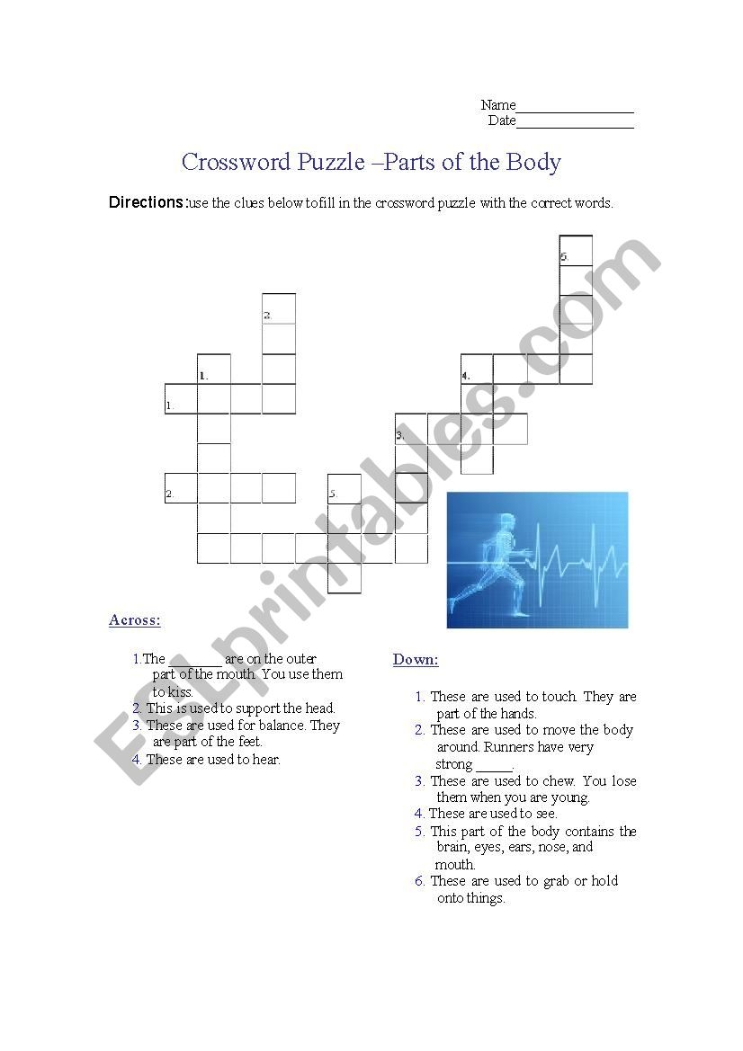 Crossword Puzzle Parts Of The Body ESL Worksheet By Francophile Crossword Puzzle Parts Of The Body ESL Worksheet By Francophile