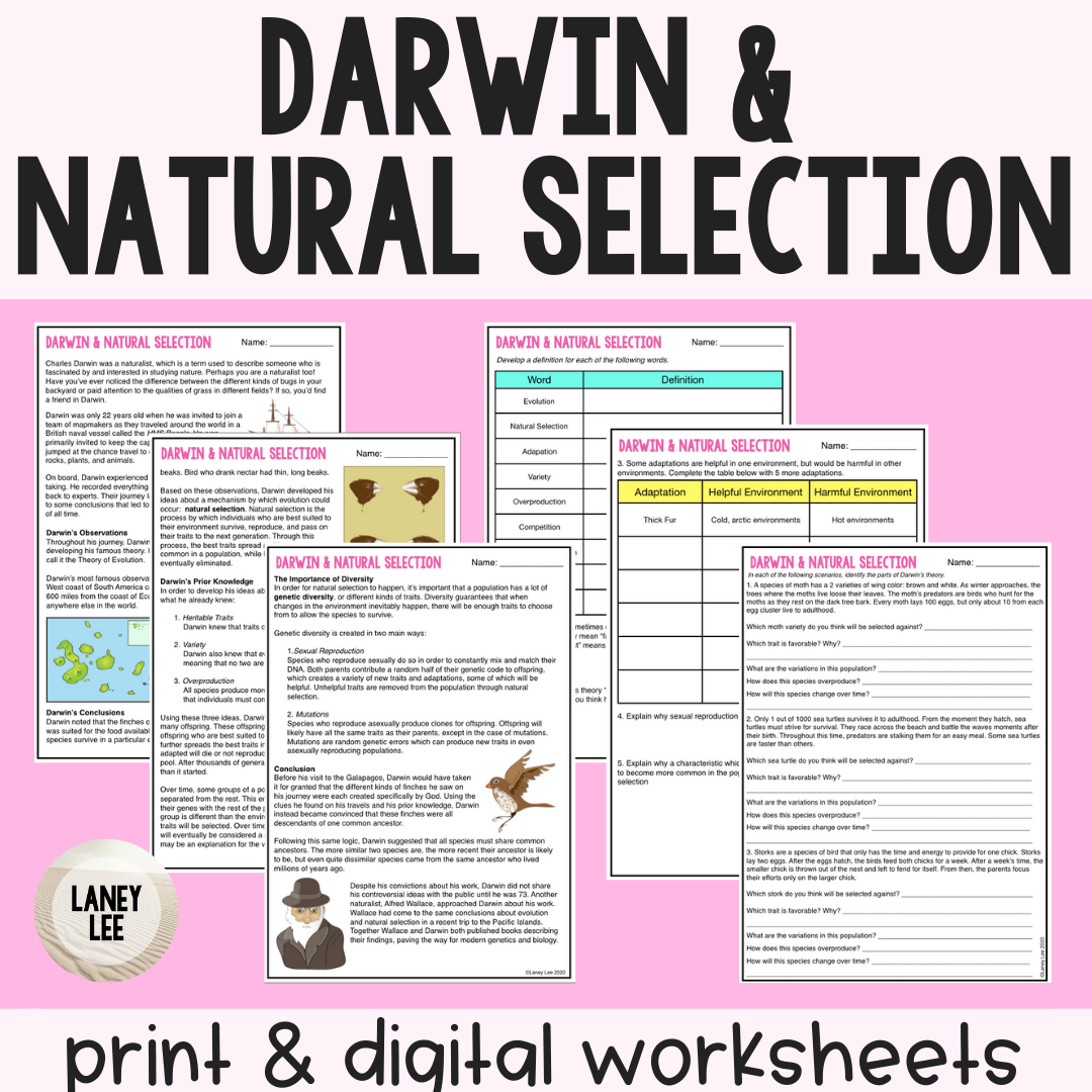 Darwin Natural Selection Evolution Guided Reading Worksheet