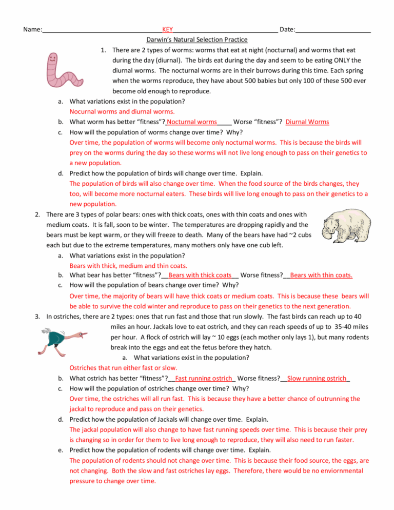 Darwin s Natural Selection Practice Exercises And Questions Exams Genetics Docsity