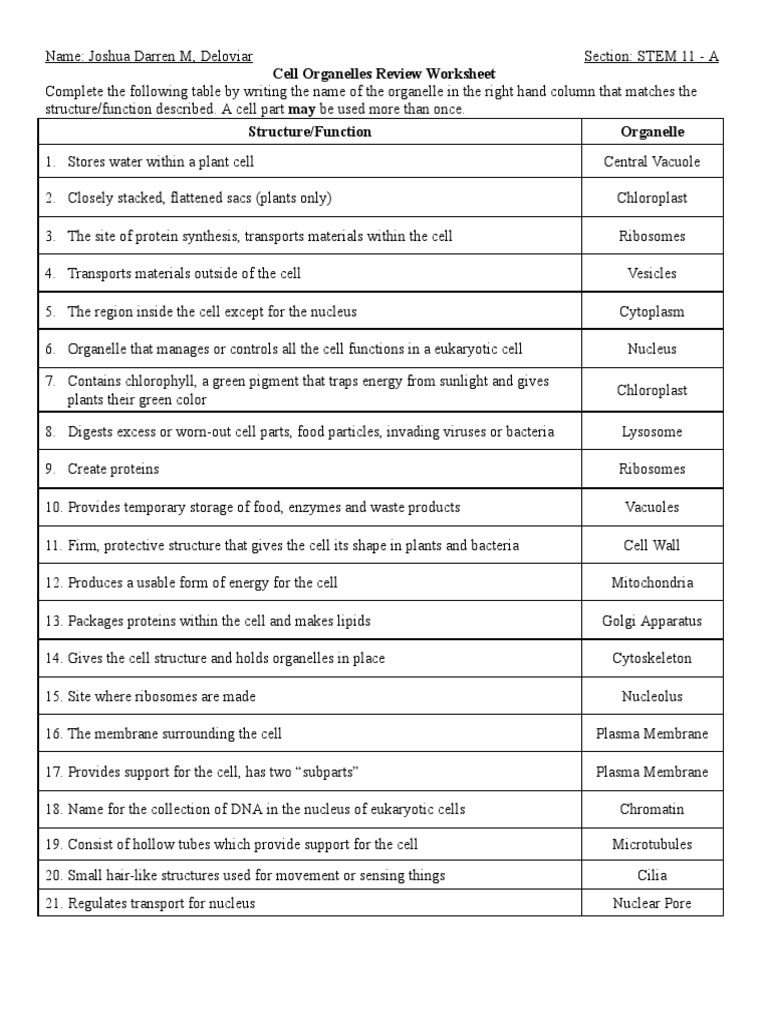 Deloviar Cell Organelle Review Worksheet 1 PDF Cell Biology Worksheets Library Deloviar Cell Organelle Review Worksheet 1 PDF Cell Biology Worksheets Library