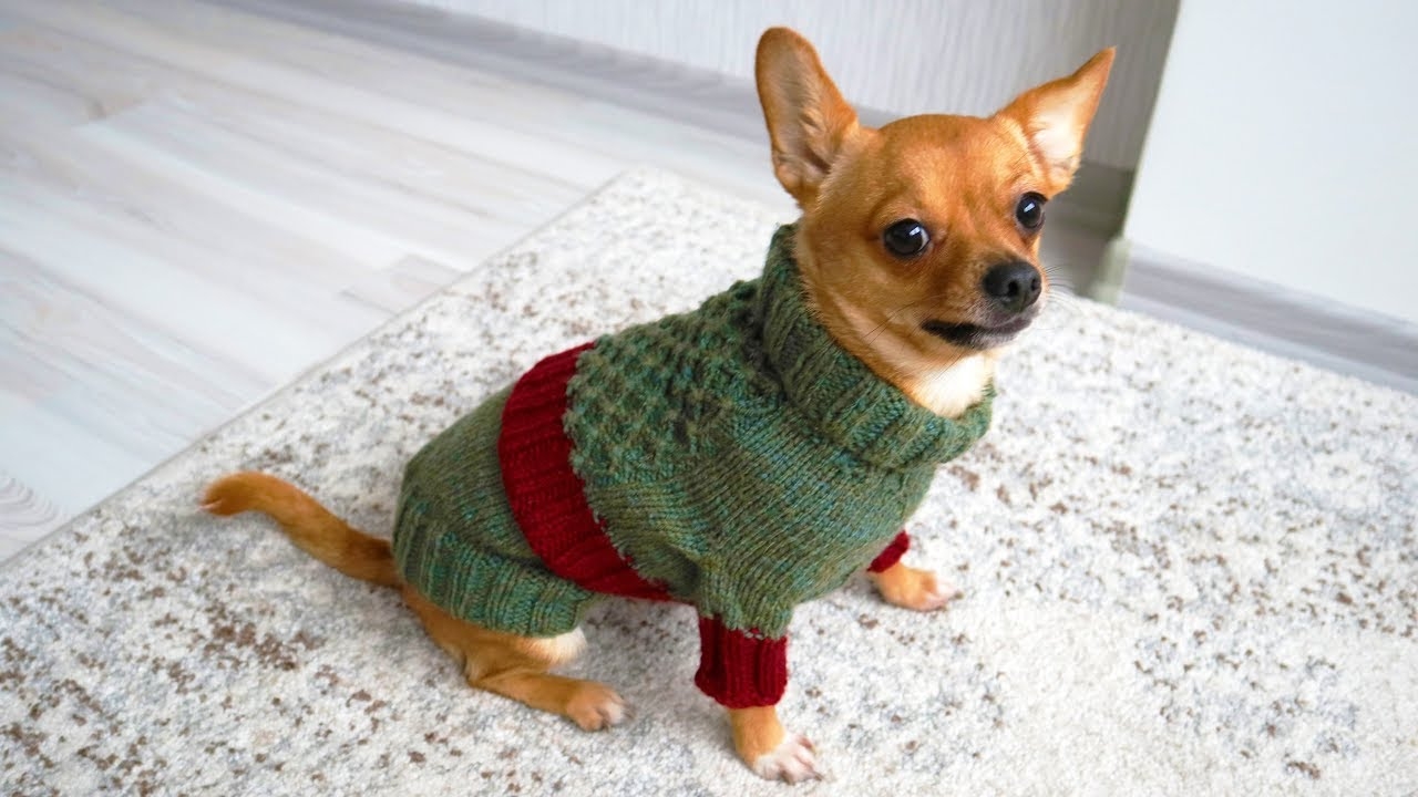 Dog Sweater Knitting Pattern Dog Sweater Knitting Pattern