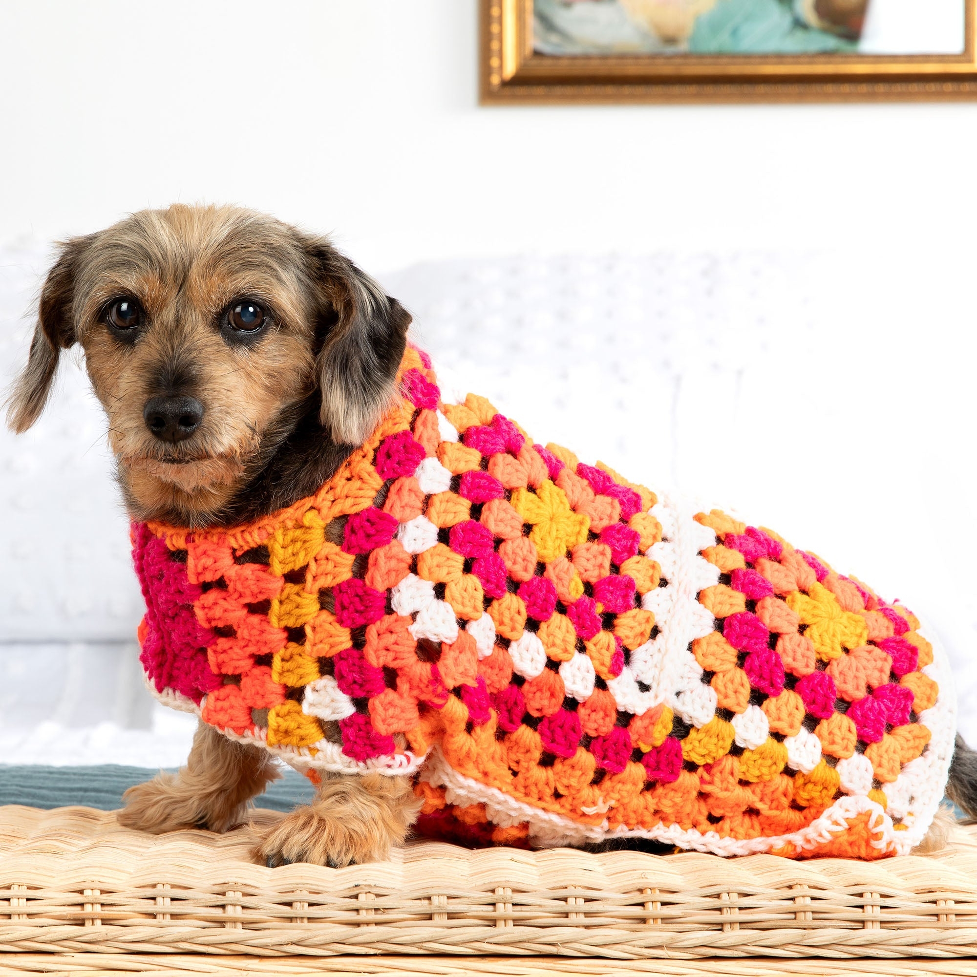 crochet dog sweater pattern crochet dog sweater pattern