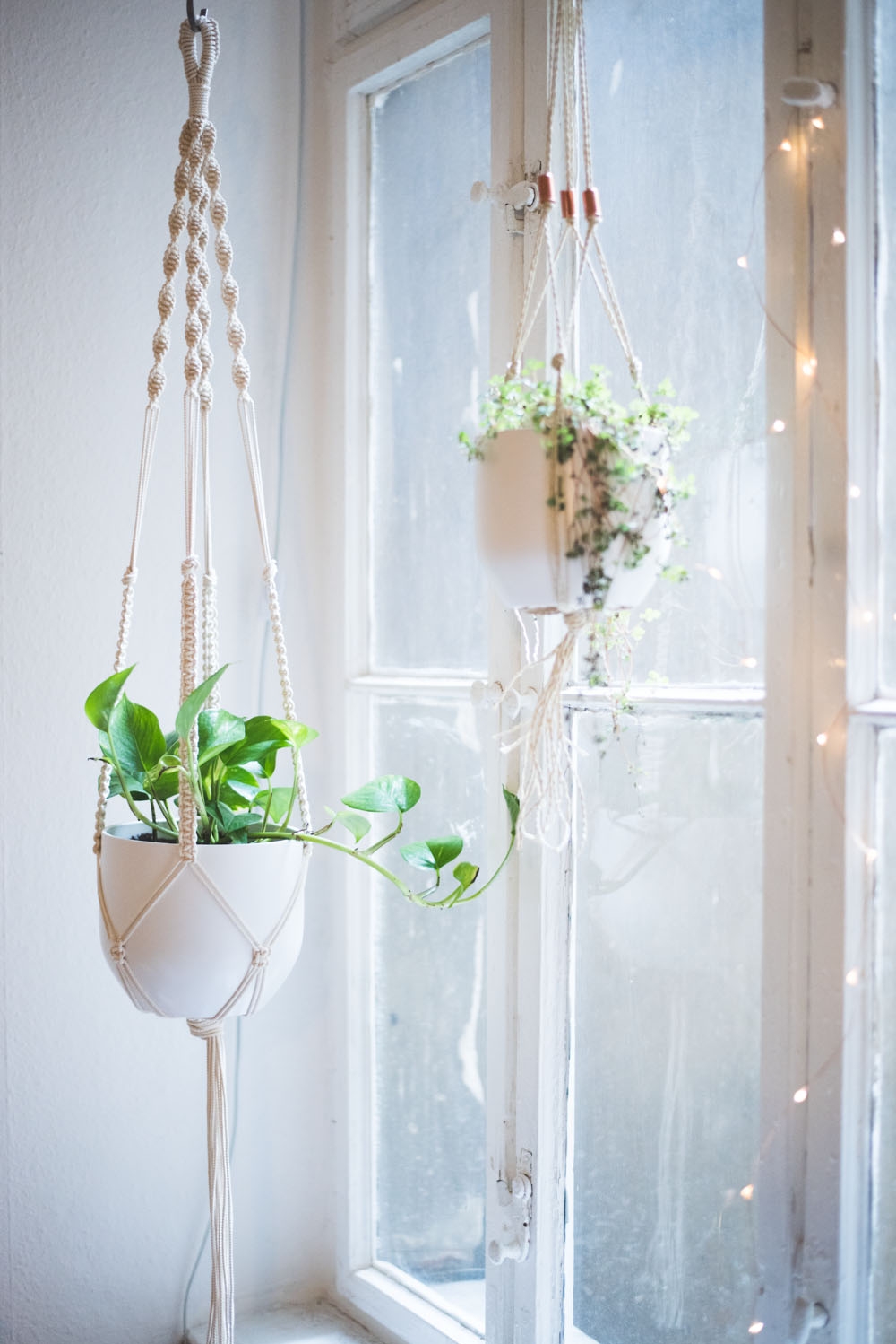 Easy Home DIY Macrame Plant Hanger Tutorial Heylilahey Easy Home DIY Macrame Plant Hanger Tutorial Heylilahey
