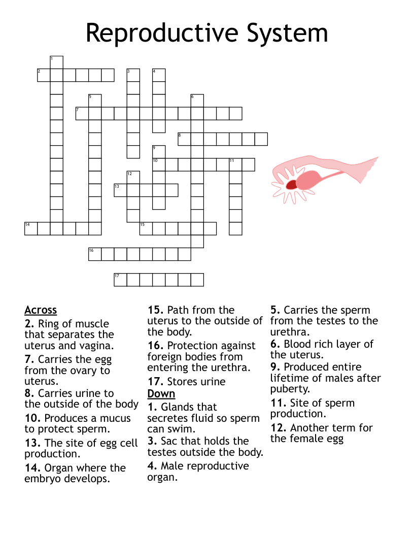 Eggs Crossword WordMint Eggs Crossword WordMint