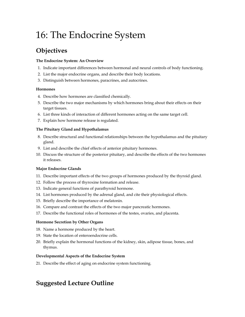 crossword puzzle 16.2 human anatomy and physiology