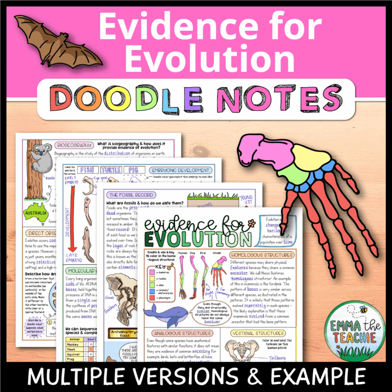 Evidence For Evolution Doodle Notes Emmatheteachie