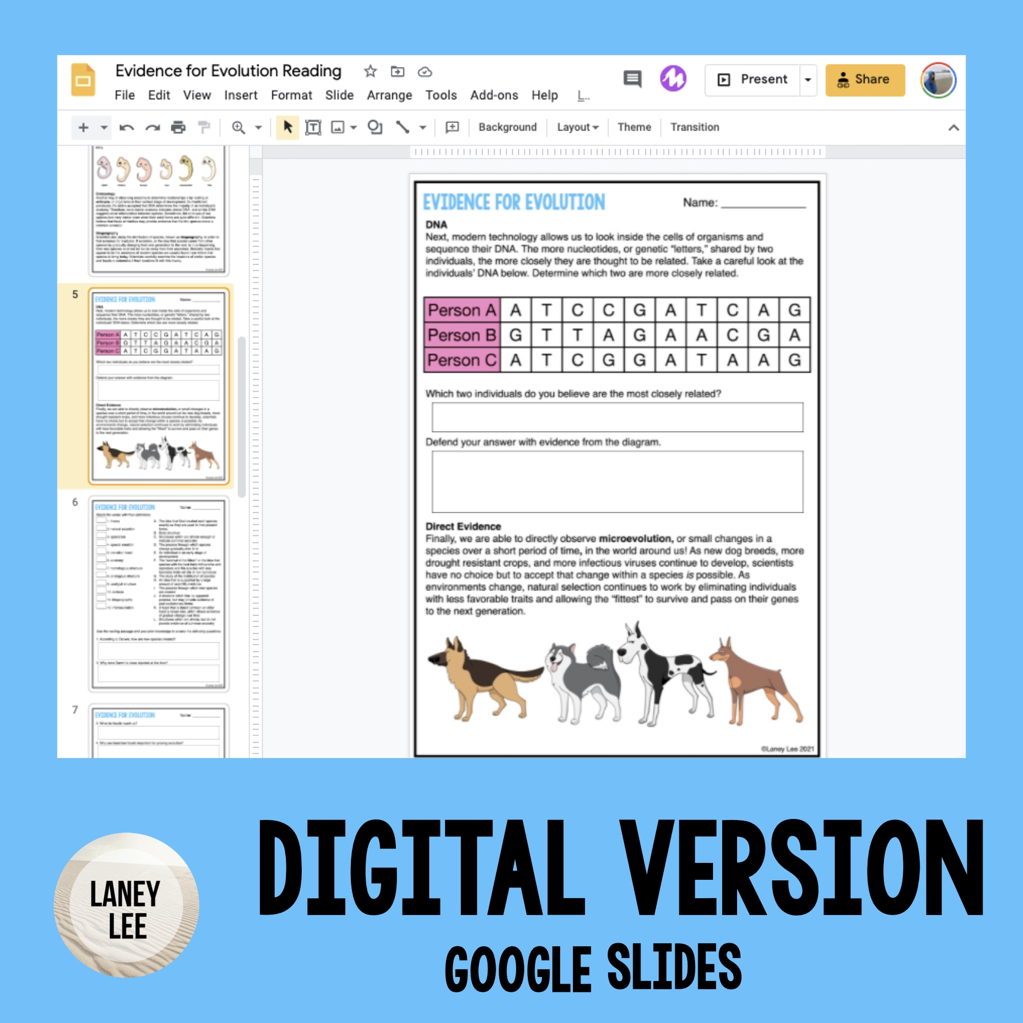 evidence for evolution worksheet