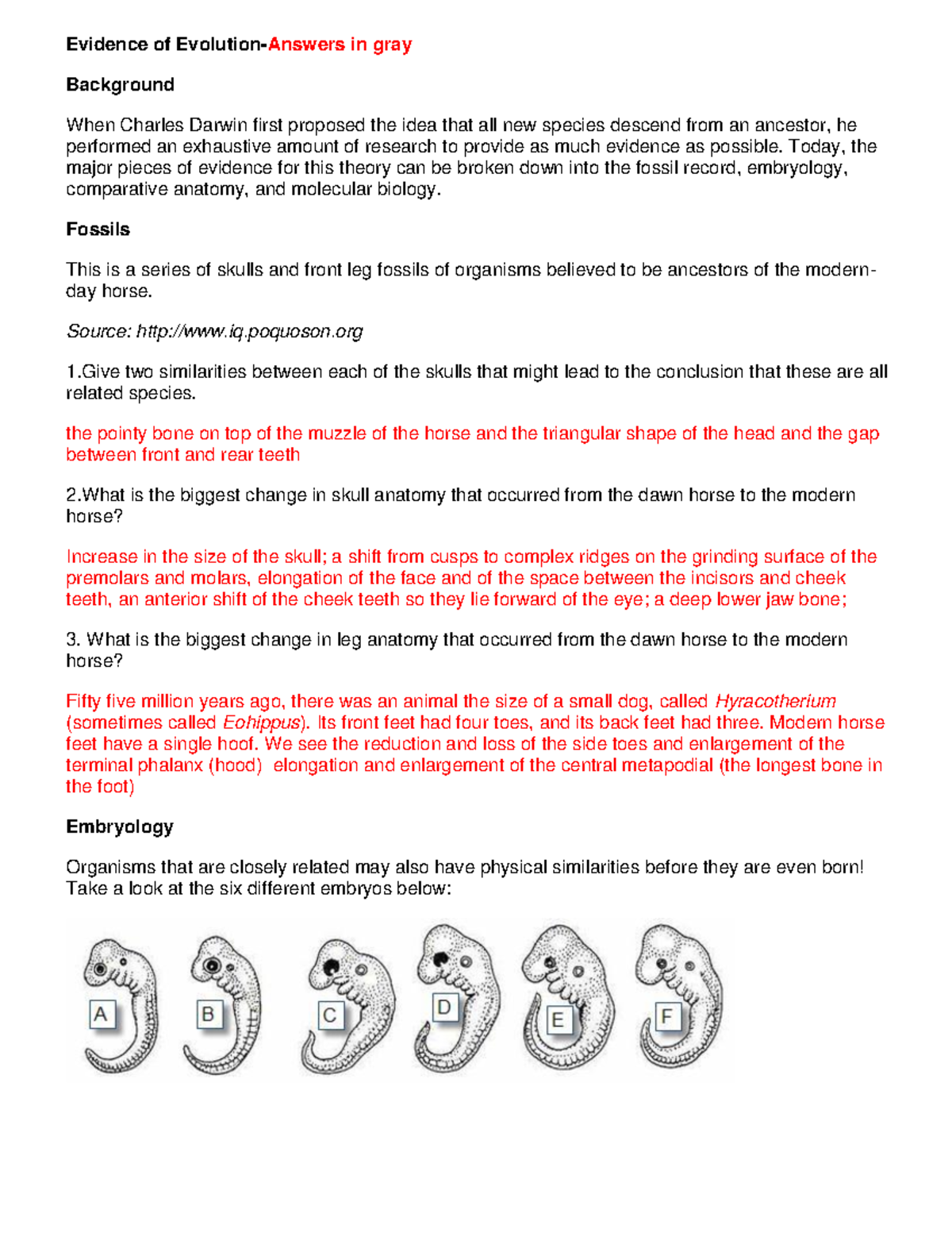 Evidence Of Evolution Answers Evidence Of Evolution Answers In Gray Background When Charles Darwin Studocu