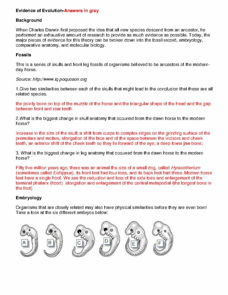 Evidence Of Evolution Answers Evidence Of Evolution Answers In Gray Background When Charles Darwin Studocu