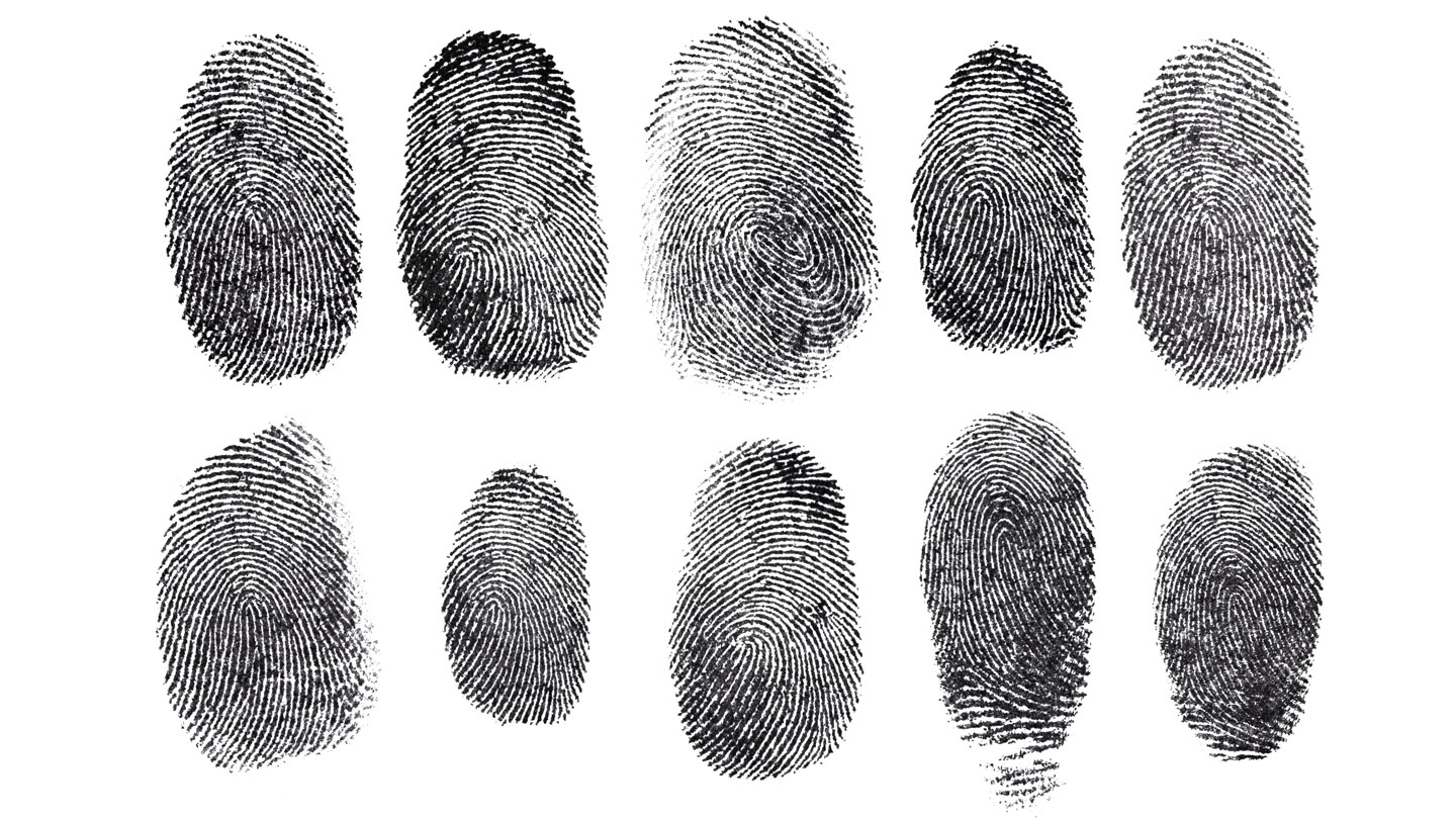 most common fingerprint pattern most common fingerprint pattern